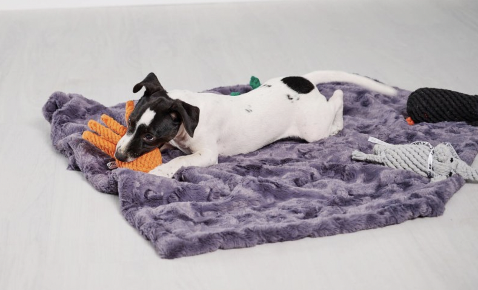 Hračka pro psy LABONI chobotnice oranžová