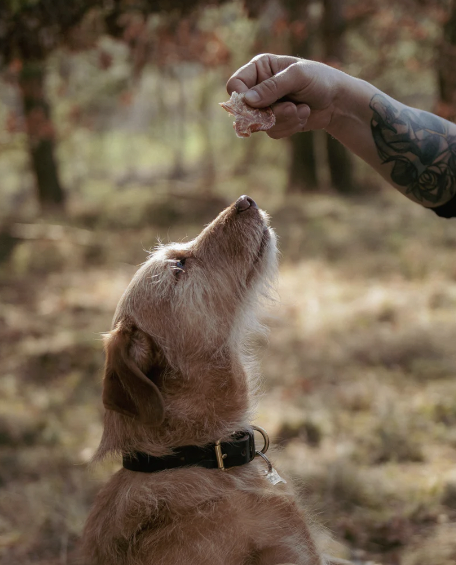 Masíčka krůtí srdíčka Čumák