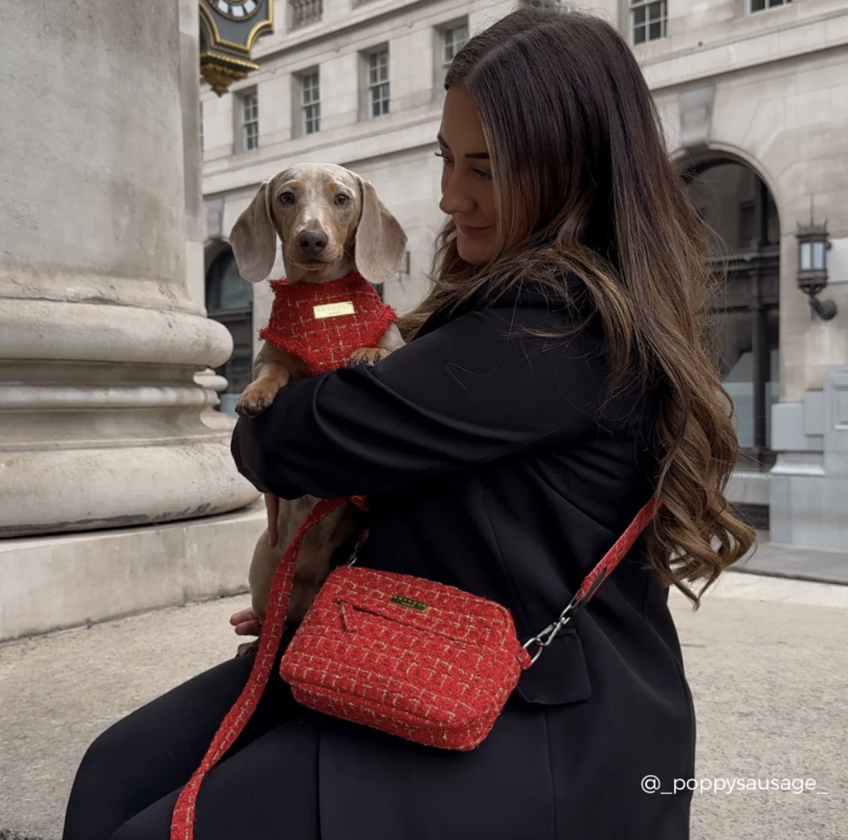 !!!Pamlskovník Cocopup Tweed Red