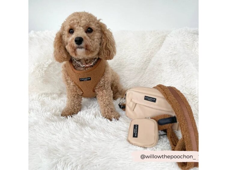 Popruh na pamlskovník CocoPup Teddy Paddington