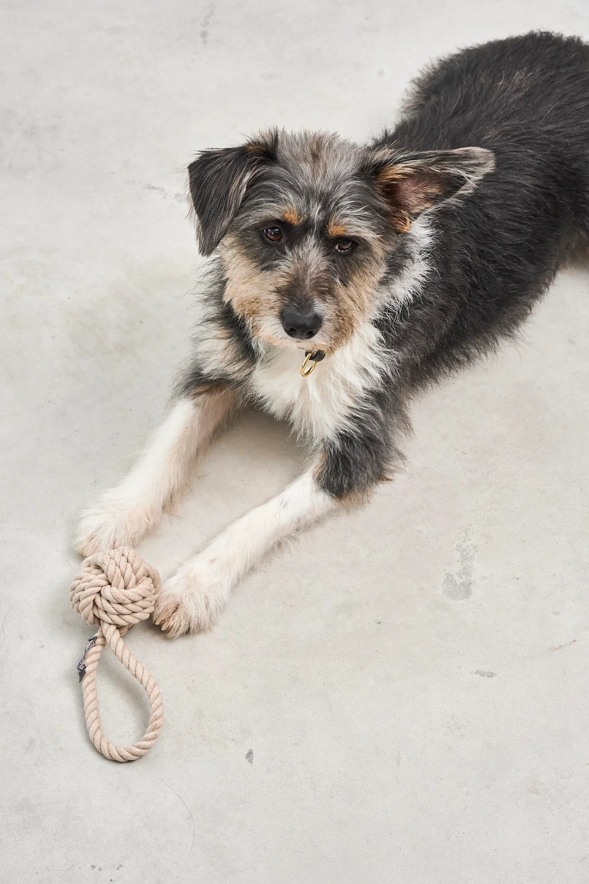 !!!Lanová hračka pro psy MiaCara Nodo natural