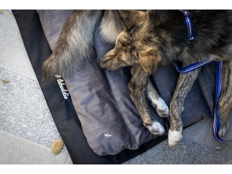 Cestovní pelíšek Lebeddie Mobedo šedá