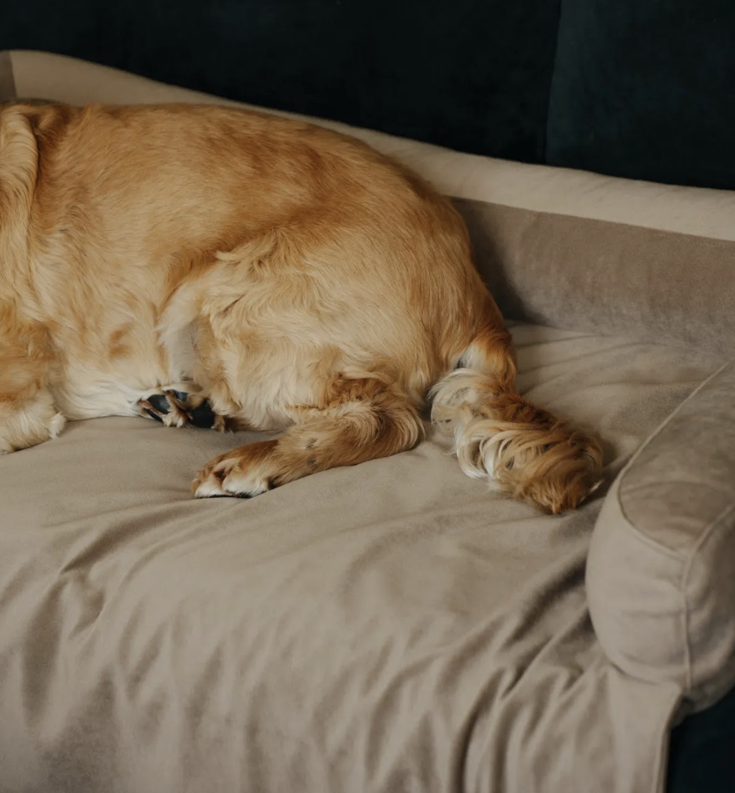 Pelíšek Lebeddie na pohovku Sofedo hnědá