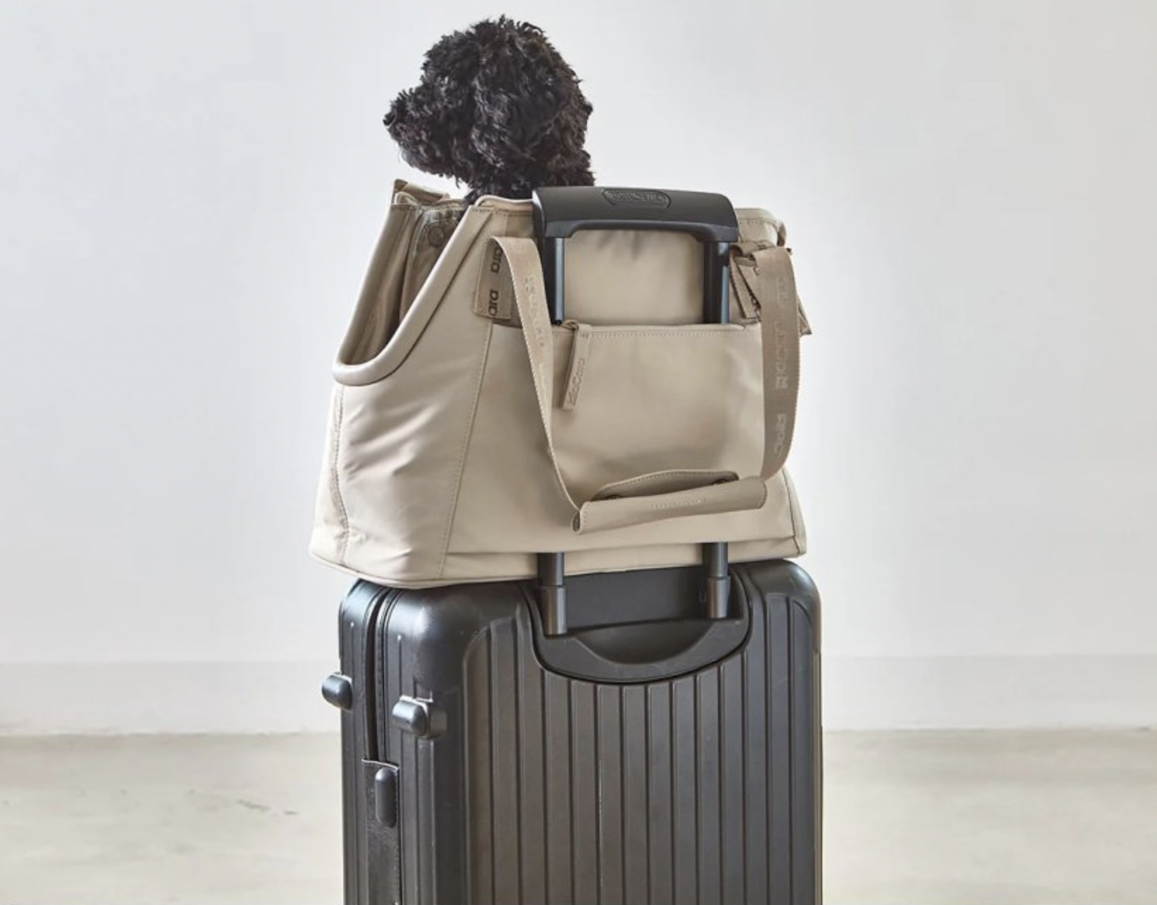 Cestovní taška pro psy MiaCara Sporta antracitová