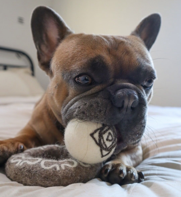 Hračka pro psy Wooliie, ručně vyráběný míč Čakra ze 100% vlny