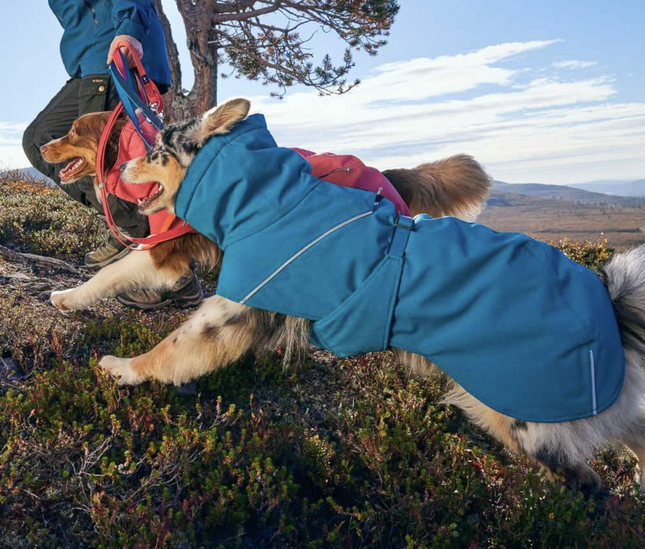 !!Obleček Hurtta Expedition parka II petrželkový