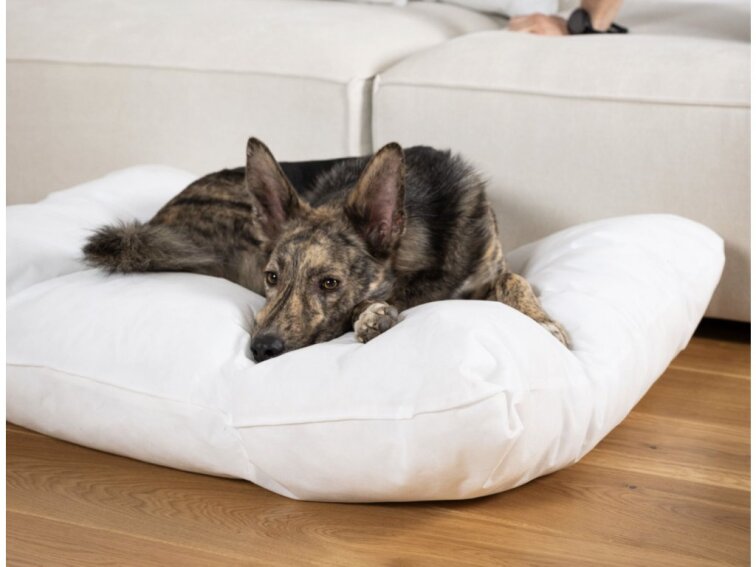 Pelíšek pro psy Lebeddie Jeskyně hnědá