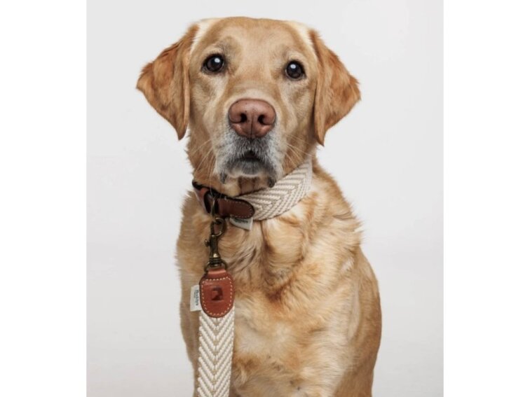 !!!Vodítko Buddys Portixol béžové nastavitelné