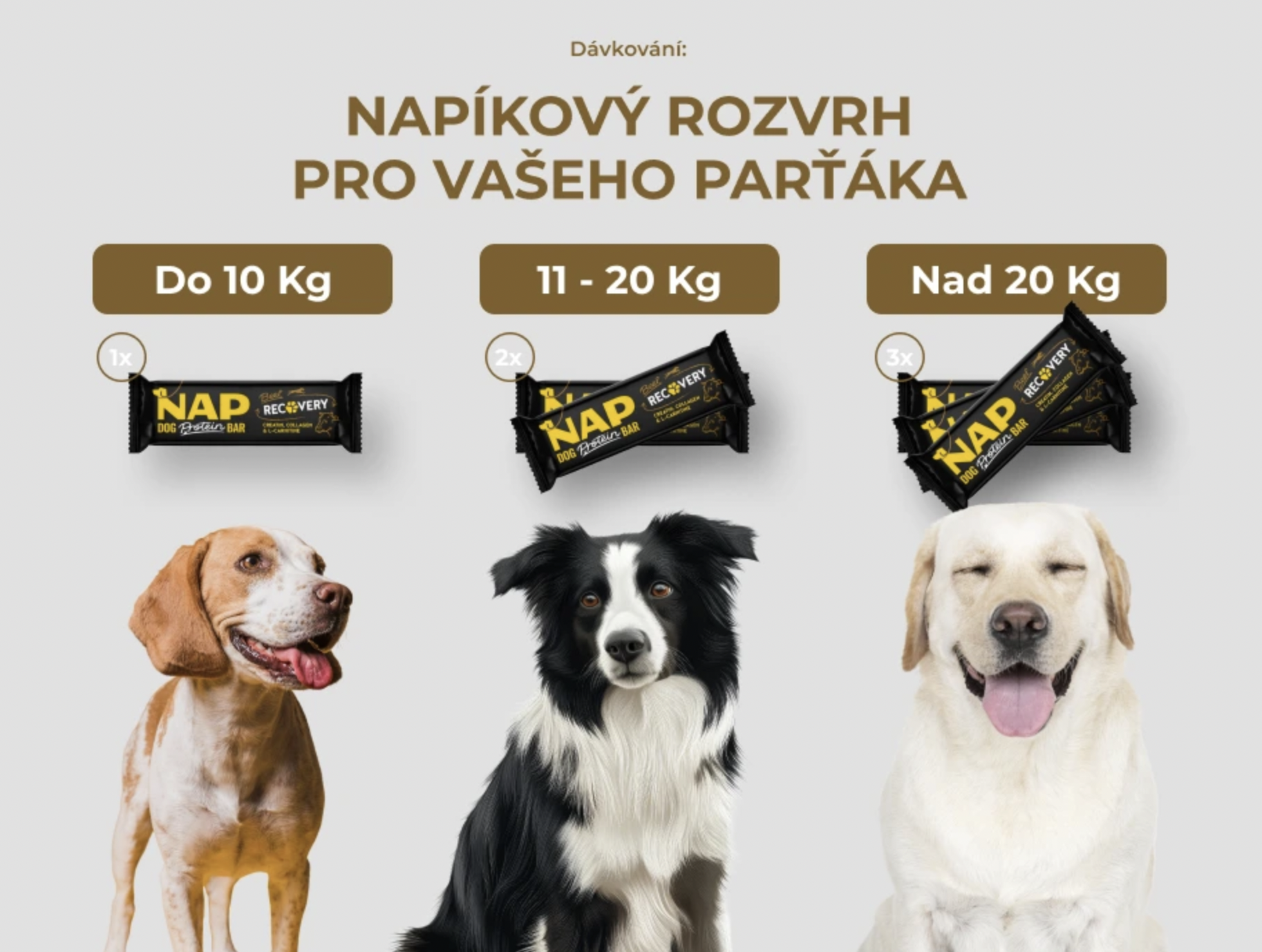 !!!NAP Recovery - psí proteinová tyčinka - hovězí 50 g