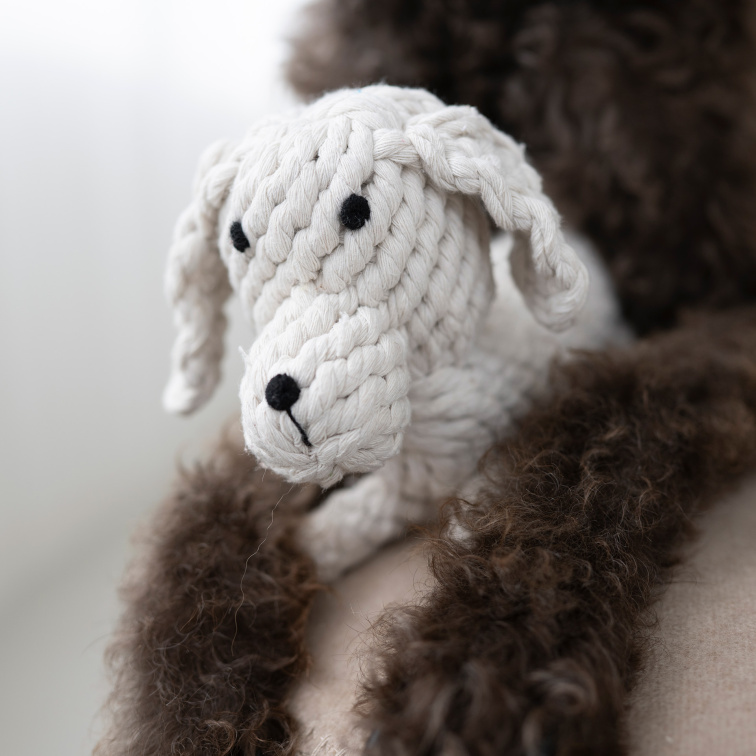 !!!Hračka pro psy LABONI pes Tapsi