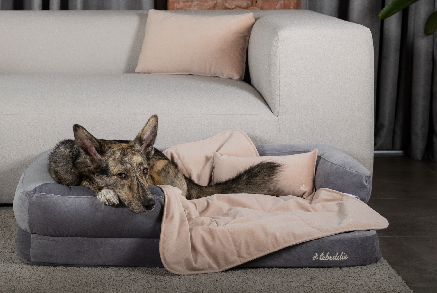 Deka Lebeddie starorůžová s ovčí vlnou