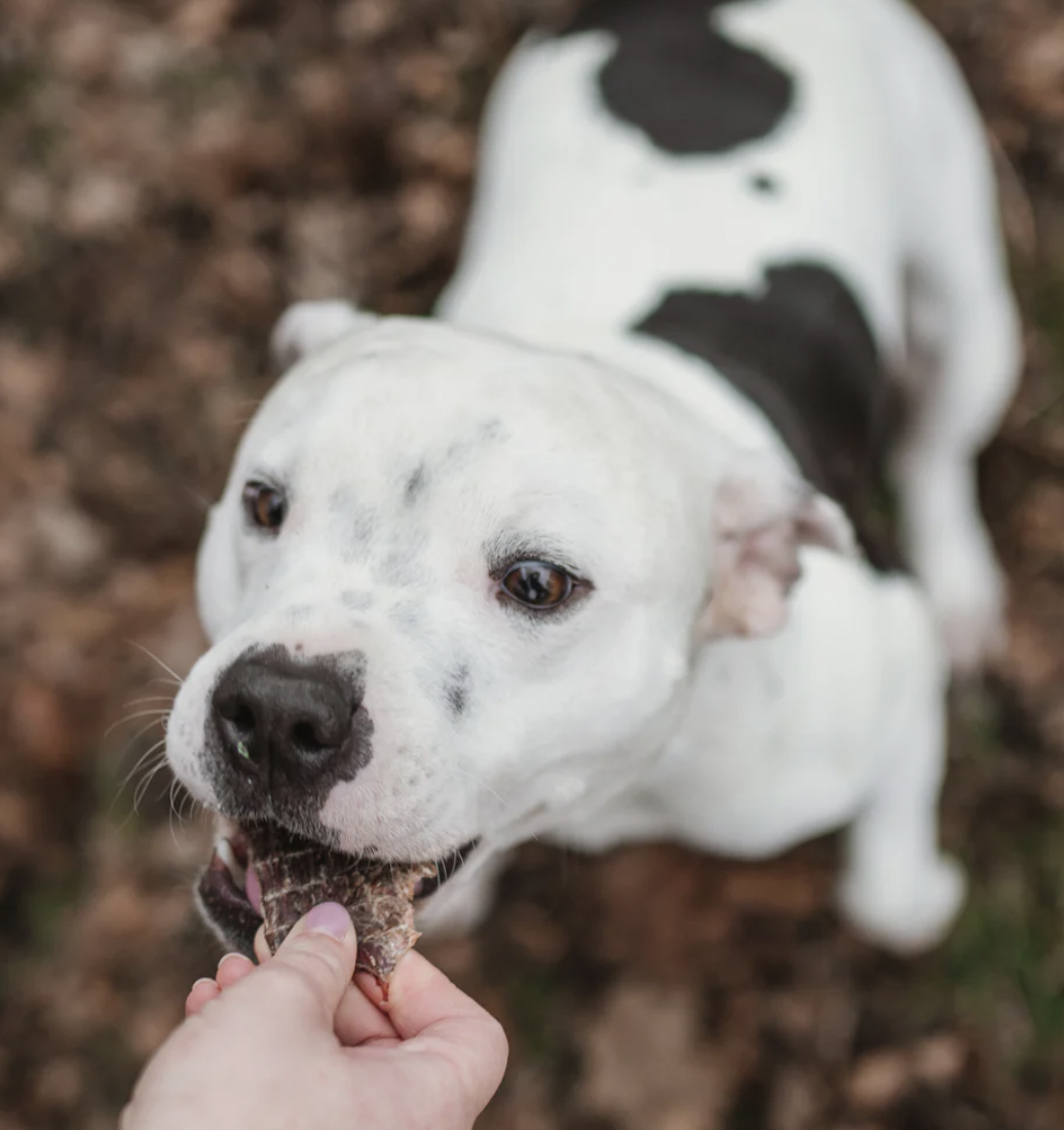 Masíčka Hovězí kýta Čumák 100g