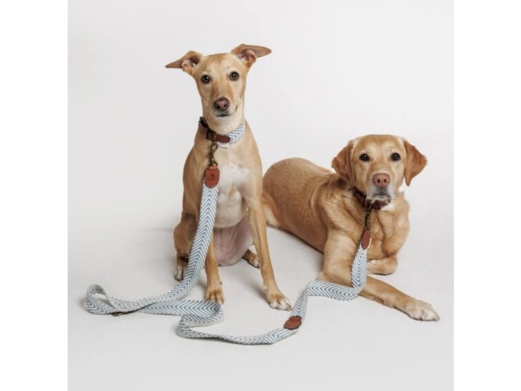 !!!Vodítko Buddys Portixol modré nastavitelné