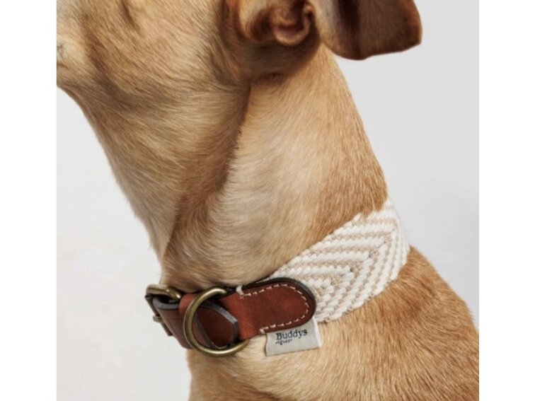 !!!Obojek Buddys Portixol béžový