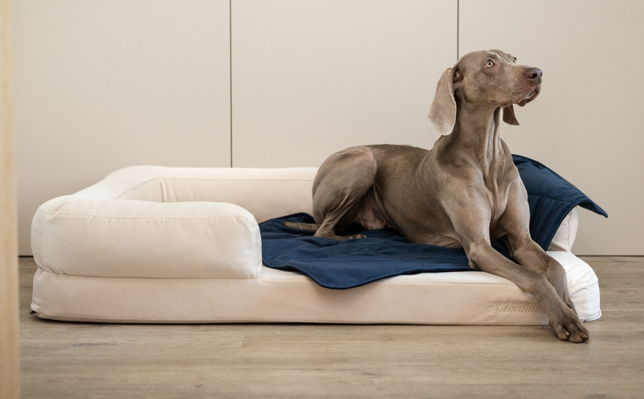 Deka Lebeddie modrá s ovčí vlnou