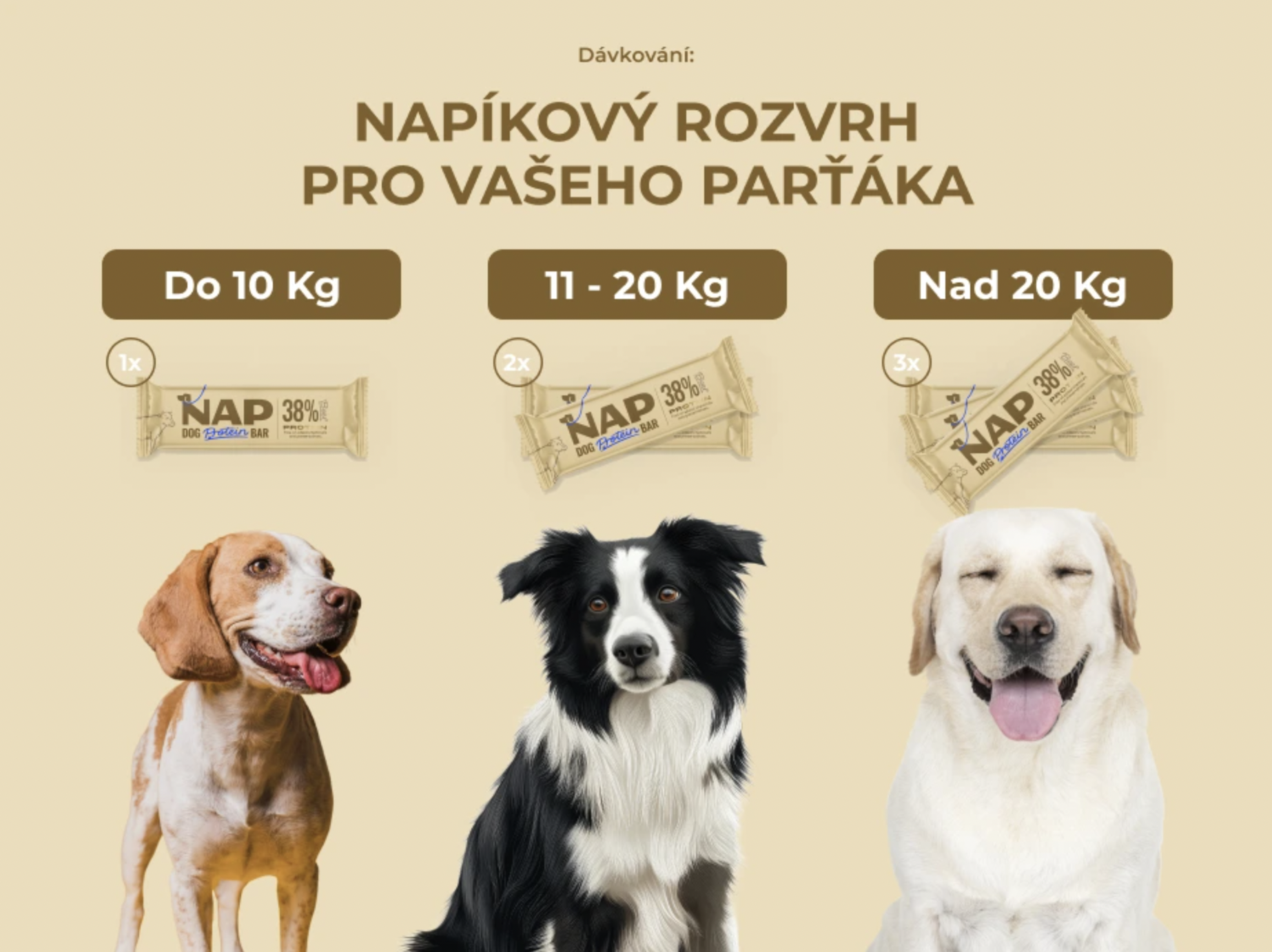 NAP psí proteinová tyčinka - hovězí 50 g