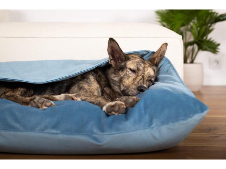 Pelíšek pro psy Lebeddie Jeskyně bez ovčí vlny světlemodrá