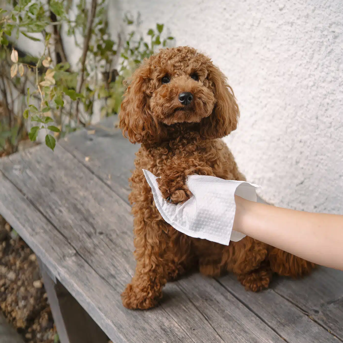 LILA LOVES IT Jednorázové mycí rukavice, 8ks