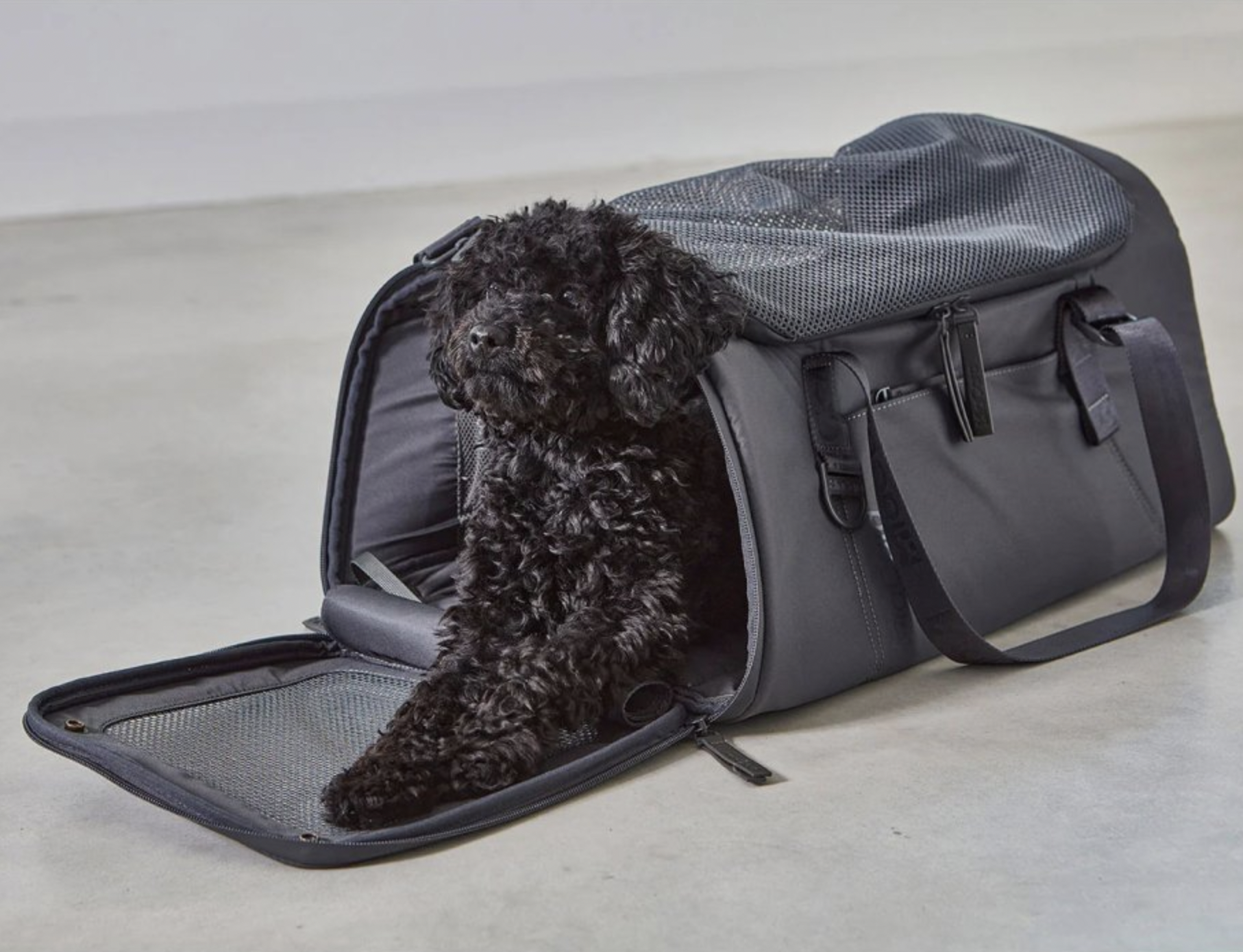 Cestovní taška pro psy MiaCara Volata Air Travel antracit