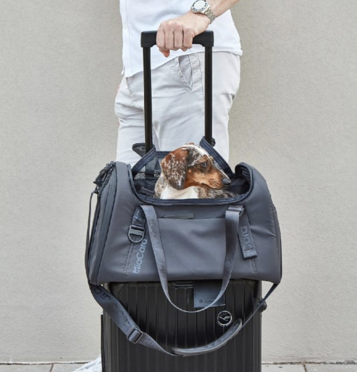 Cestovní taška pro psy MiaCara Volata Air Travel antracit