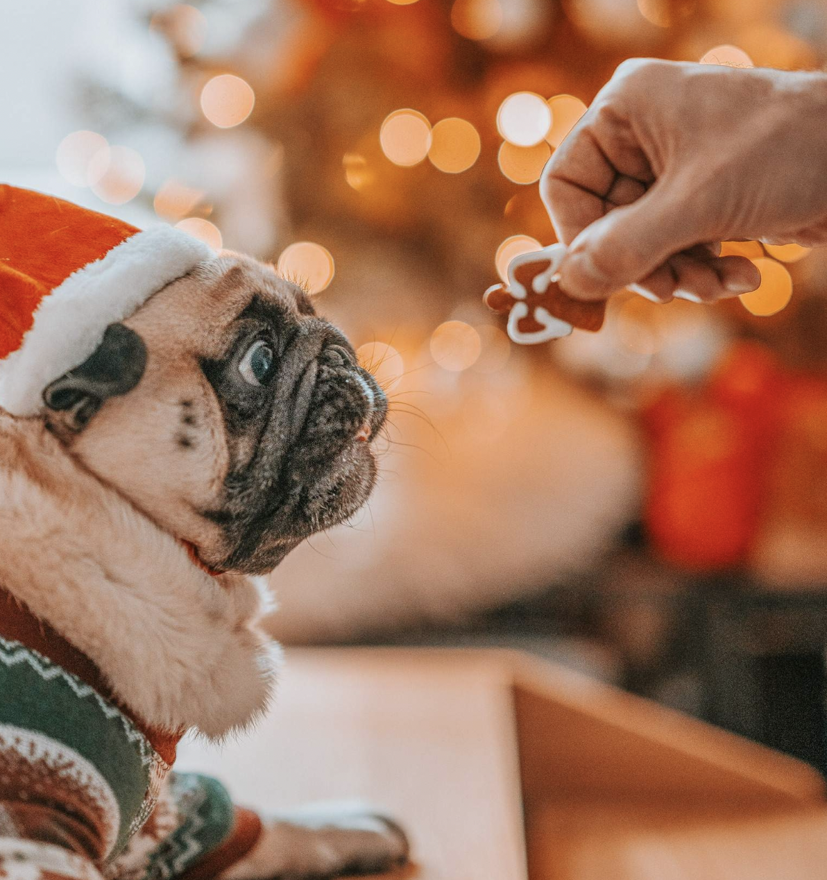 !!!Zolly Vánoční cukroví 420 g