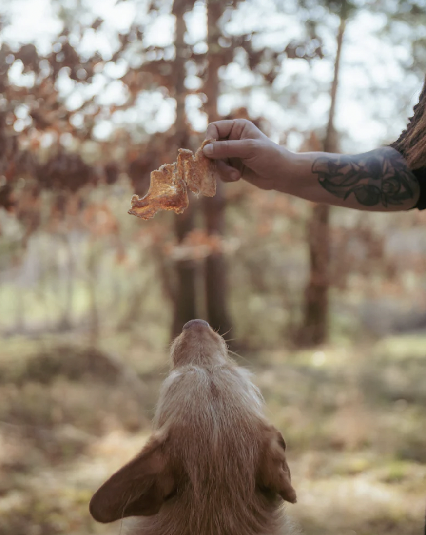 Masíčka kuřecí stripsy Čumák