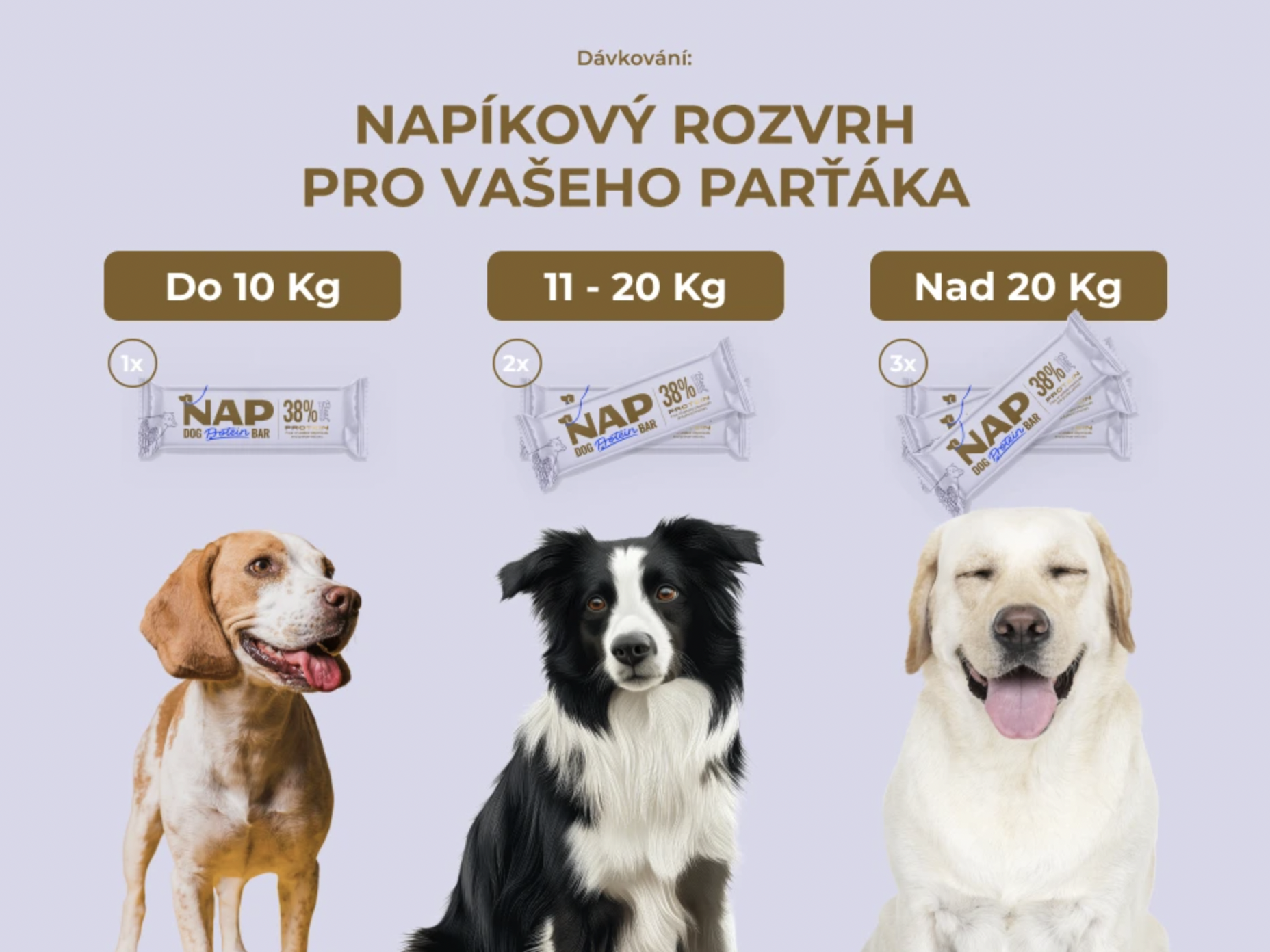 NAP psí proteinová tyčinka - hovězí s levadulí 50g