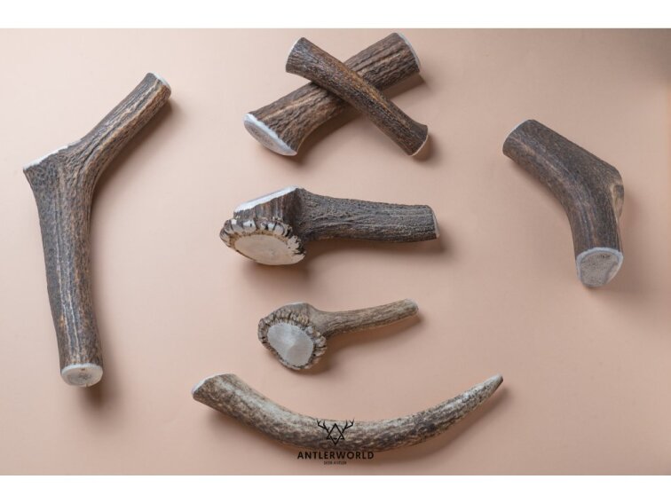 Jelení paroh pro psy