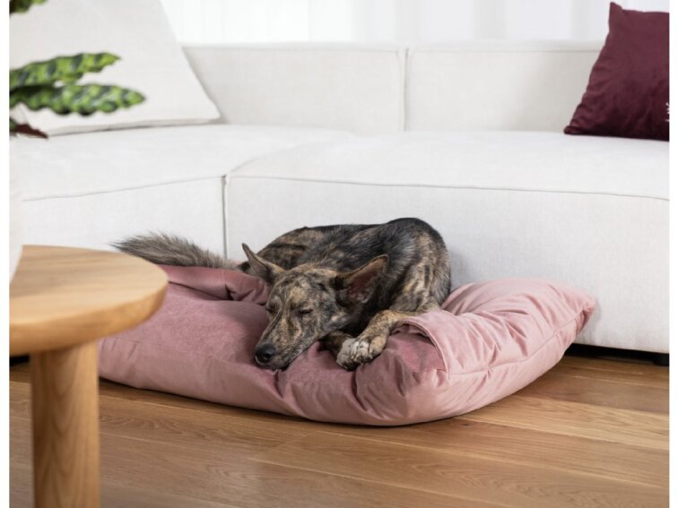 Pelíšek Lebeddie Jeskyně šedá