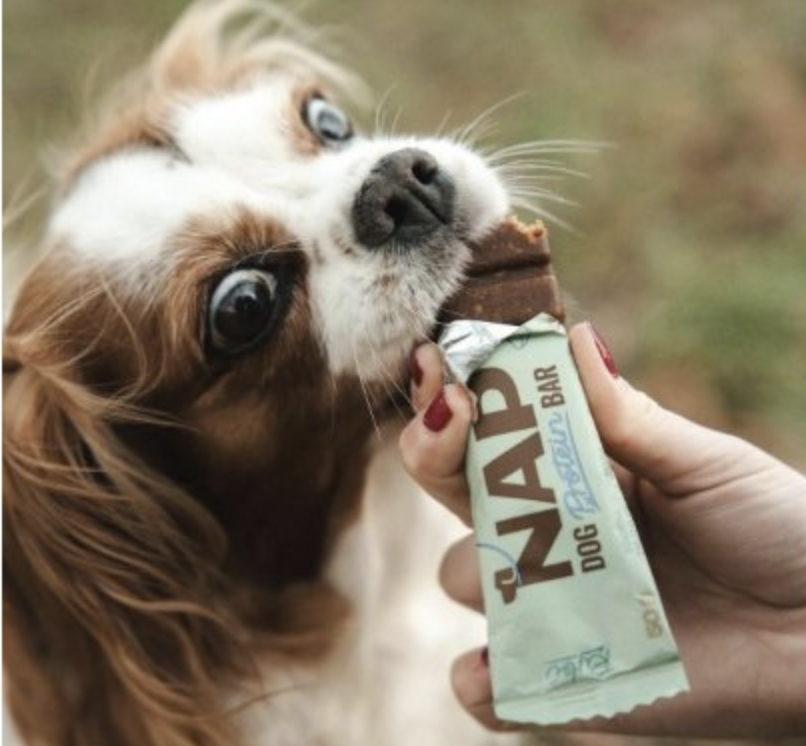 NAP psí proteinová tyčinka - rybí 50g