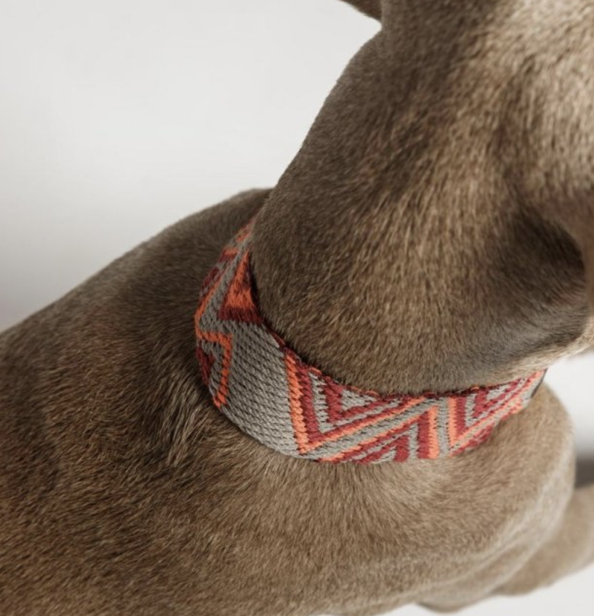 Obojek pro psy Buddys Peruvian Pikes