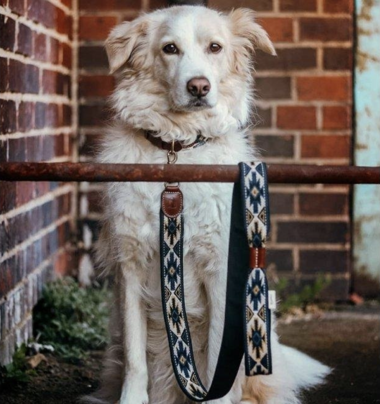 Vodítko Buddys Peyote modré 120cm
