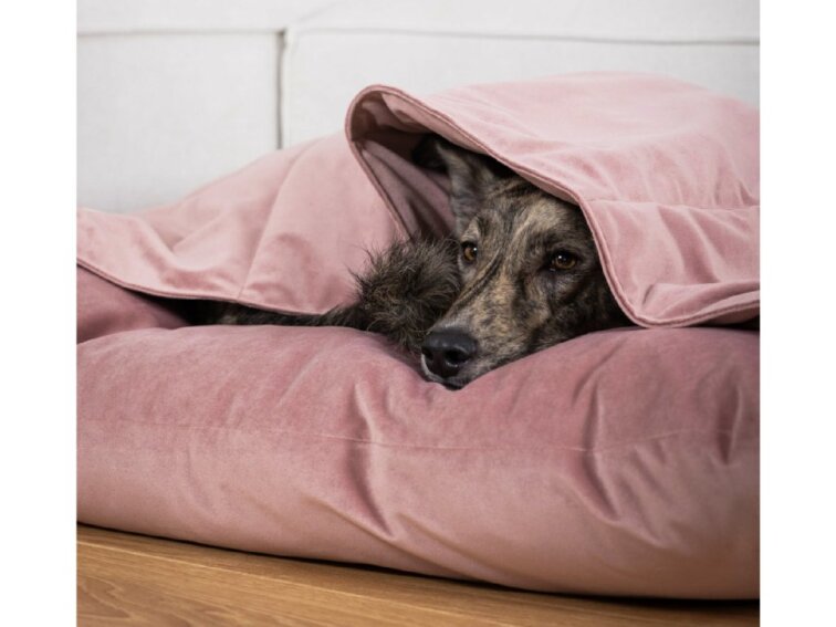 Pelíšek Lebeddie Jeskyně starorůžová