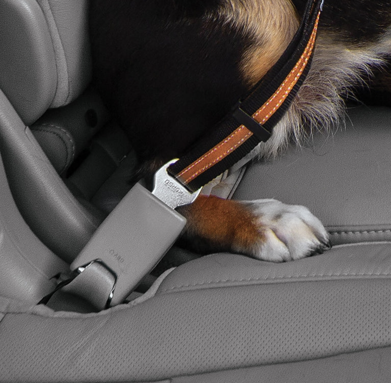 !!!Kurgo Bezpečnostní autopás pro psy s upínacím mechanismem Direct to Seat Belt Swivel Tether oranžový