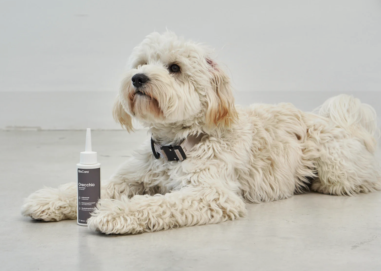 !!!Čistič uší pro psy MiaCara Orecchio 100 ml
