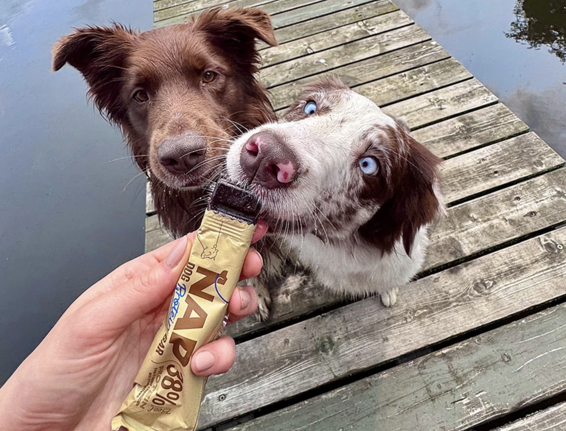 NAP psí proteinová tyčinka - hovězí 50 g