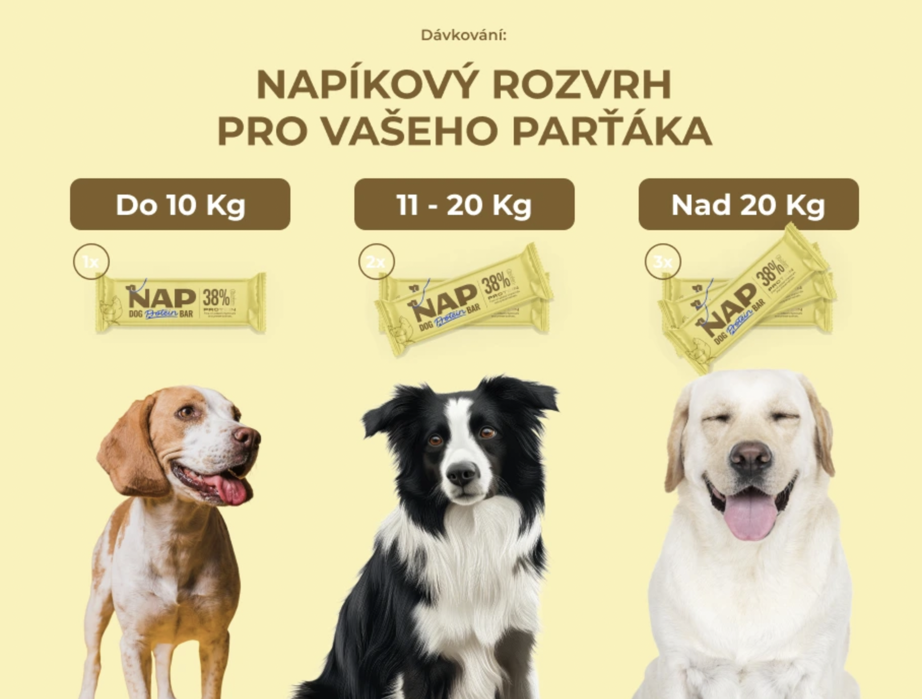 NAP psí proteinová tyčinka - kuřecí 50 g