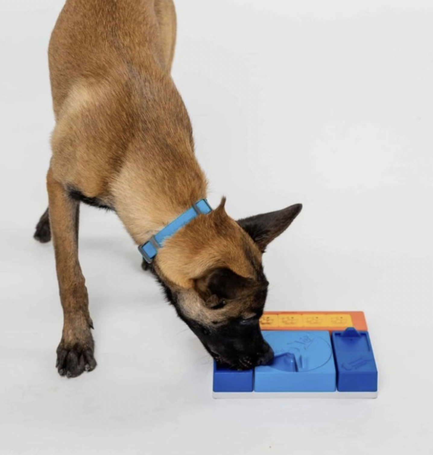 !!!Pawzler Hlavolam pro štěňata