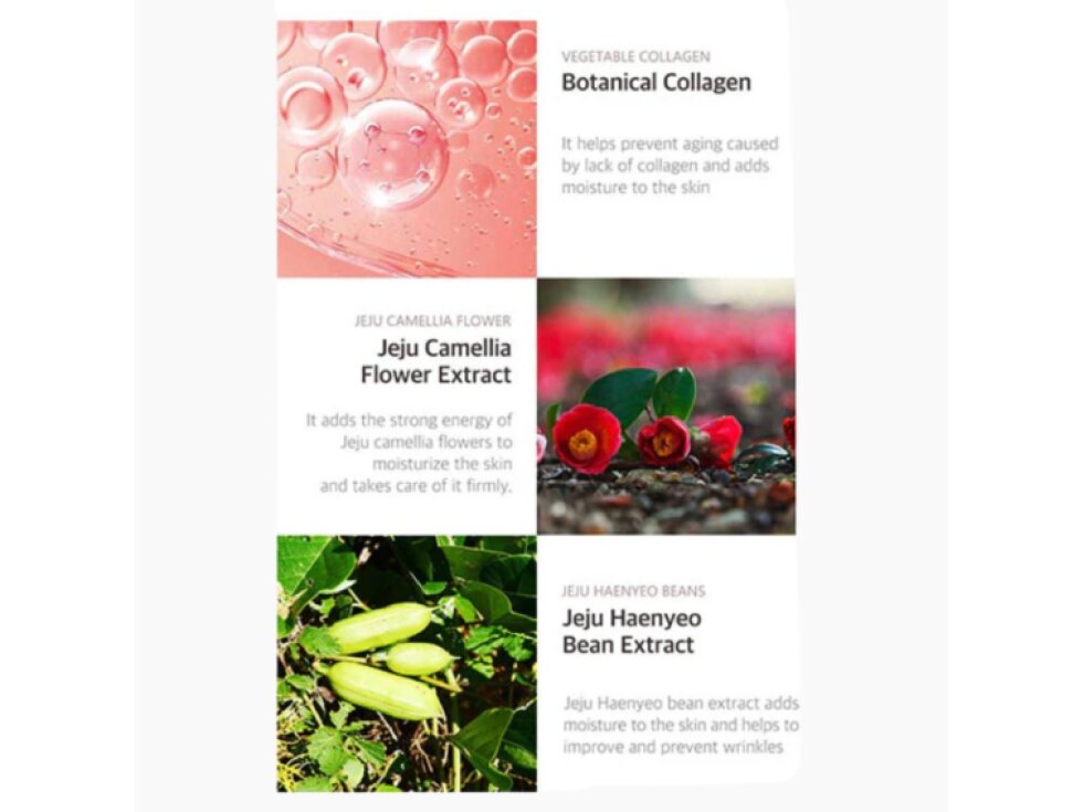 AGE:ZERO - ANTI WRINKLE RICH CREAM - Intenzivně vyživující protivráskový krém pro zpevnění a rozjasnění pleti 50 g