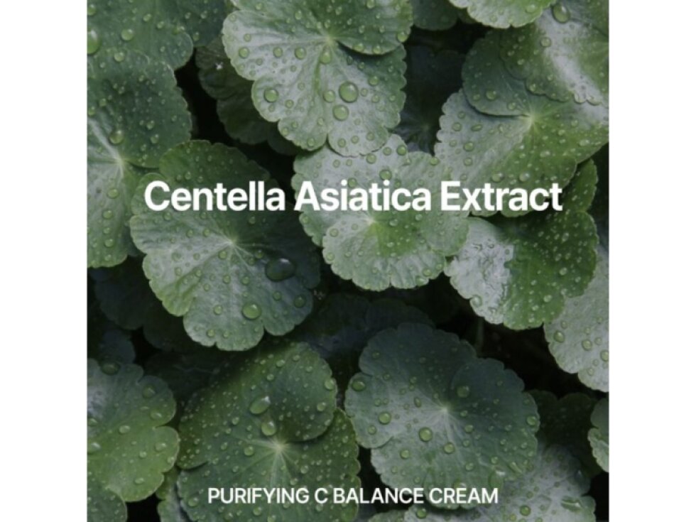 CELL BY CELL - PURIFYING C BALANCE CREAM - Pleťový krém pro vyváženou pokožku a proti akné 250 ml