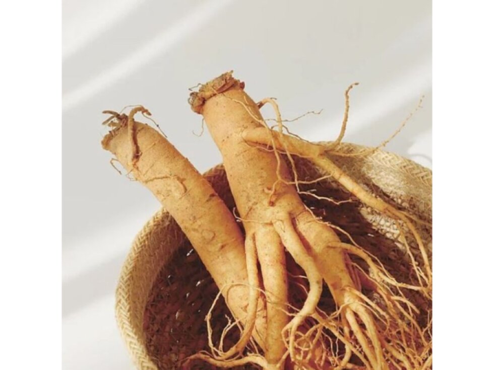 BEAUTY OF JOSEON - GINSENG CLEANSING OIL - Vyživující odličovací olej se ženšenem pro šetrné, ale důkladné čištění pleti 210 ml