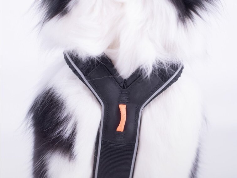 Non-stop dogwear POSTROJ LINE 5.0