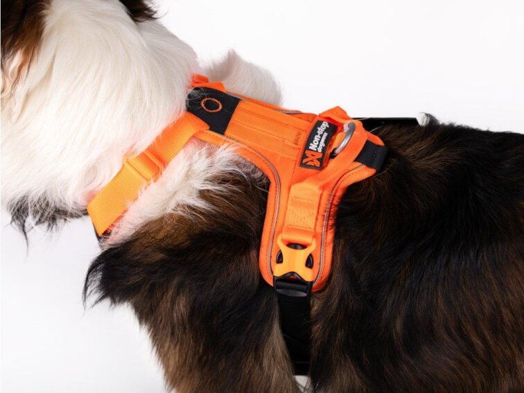 Ramble Harness buckles
