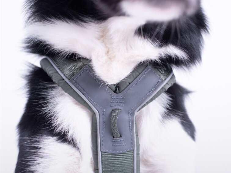 Non-stop dogwear POSTROJ LINE 5.0