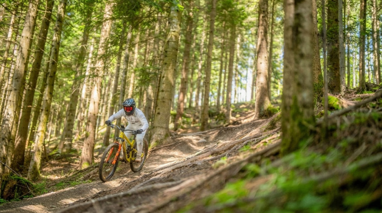 Jak vybrat držák na kolo SP Connect průvodce