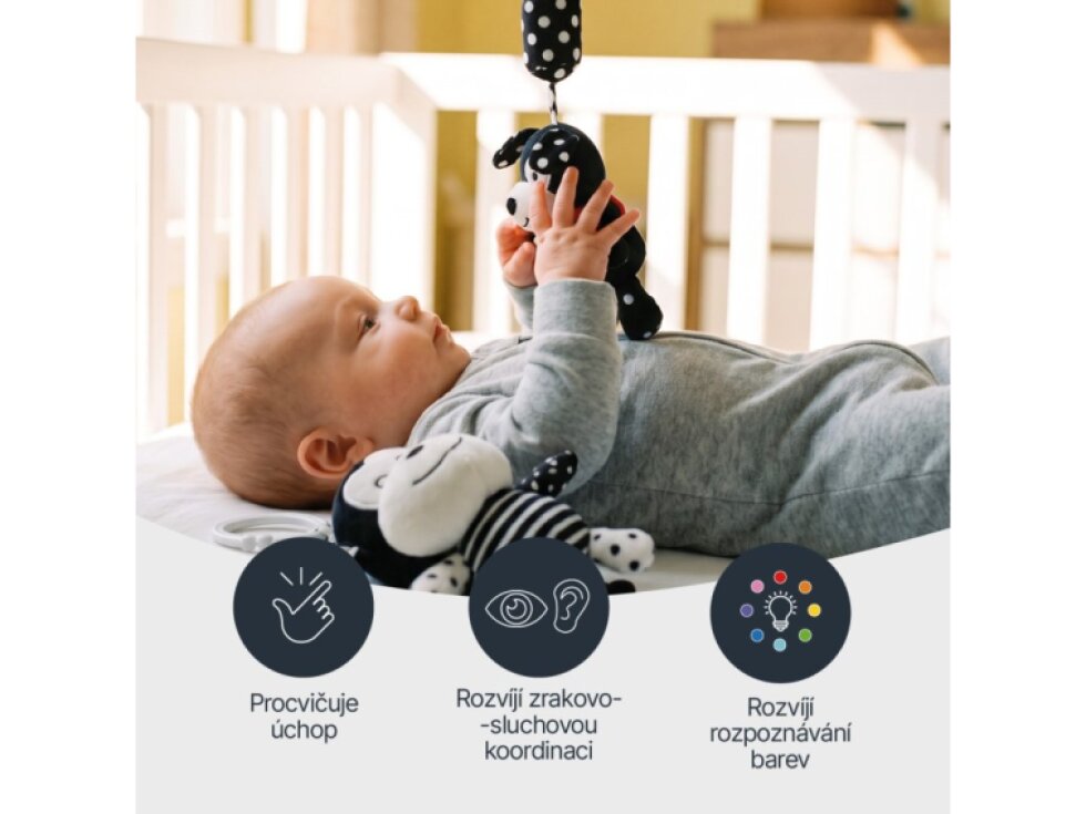 Zopa Senzorická závěsná hračka Dog