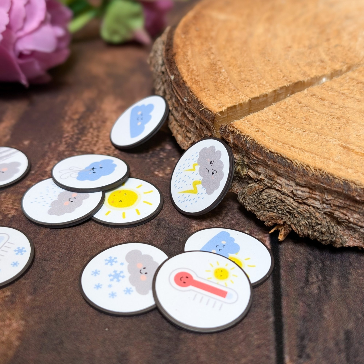 Wetter-Magnete set