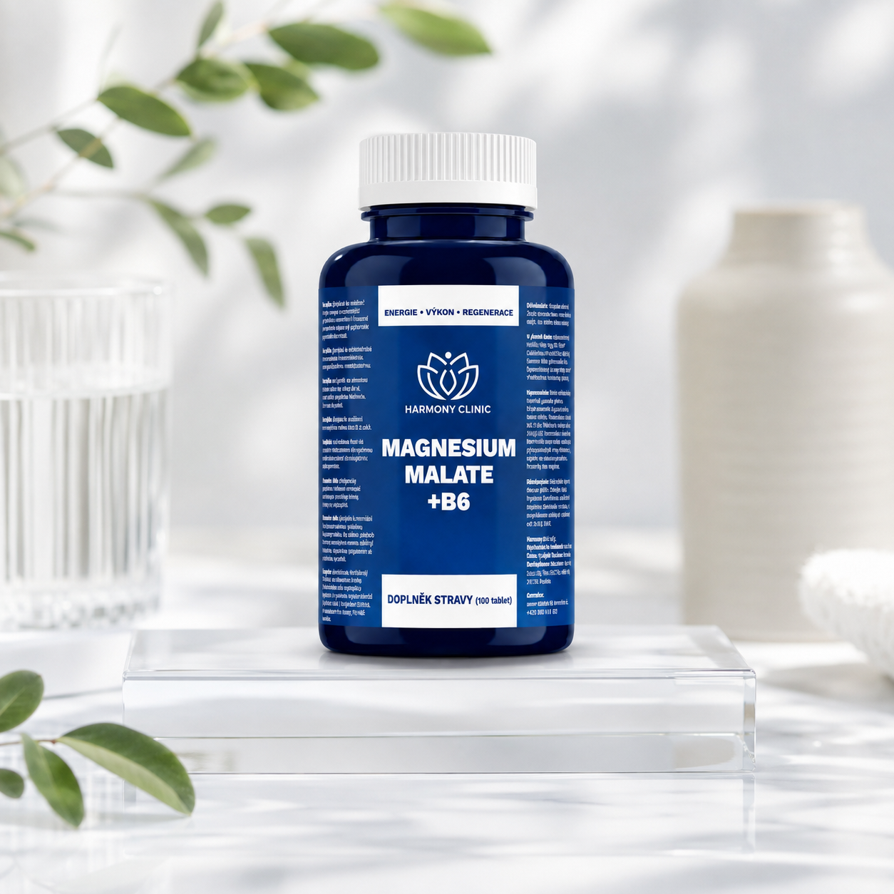 Hořčík malát s vitamínem B6 pro energii a nervovou soustavu – MAGNESIUM MALATE + B6 – 100 kapslí