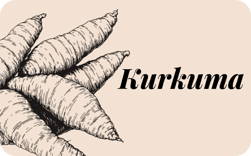 Sirup kurkuma s chilli 540 ml