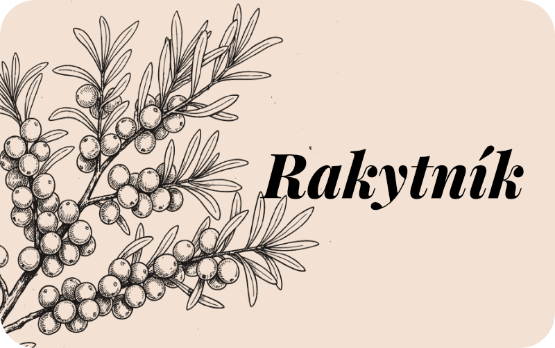 Limoneta | Rakytník 540 ml